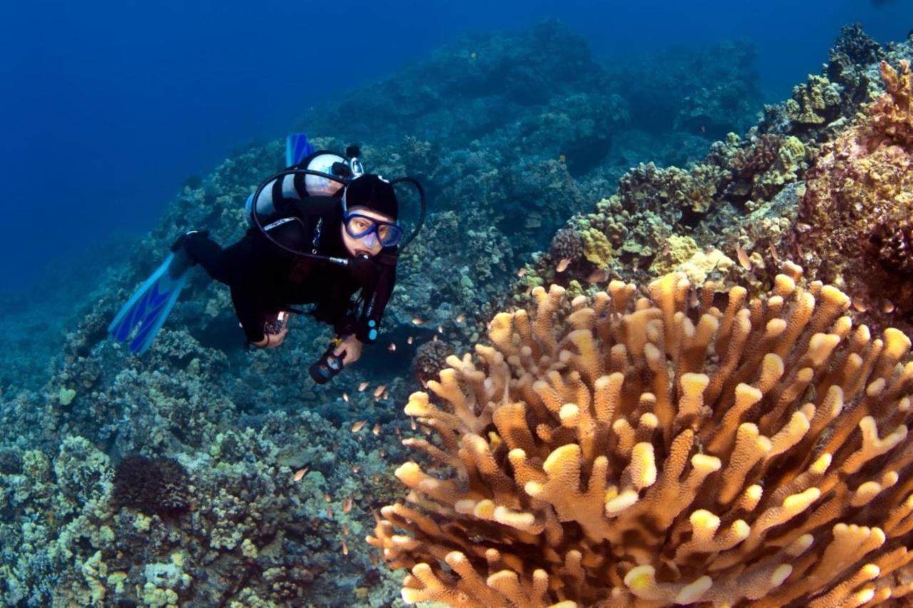Kaleialoha 401 Lägenhet Kahana Exteriör bild